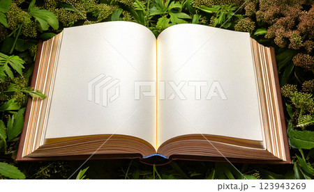 緑の植物の上に、開いた本 緑の植物の上に、開いた本 123943269