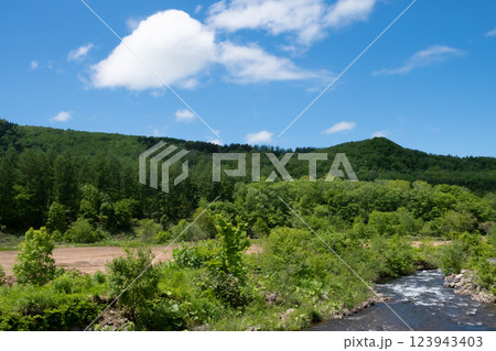 新緑の中を流れる小川 123943403