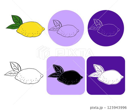 Yellow lemon with leaves vector logo. Graphic line ink illustration For logo, web, package, sticker.  123943996