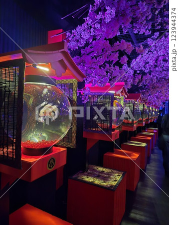 美しい金魚 123944374