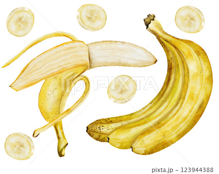 Banana set watercolor. Hand drawn ripe tropical fruit. Clip art isolated on white background realistic exotic plant. Ideal for designing menus, price tags, labels and packaging of natural cosmetics 123944388