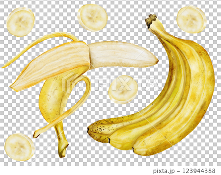 Banana set watercolor. Hand drawn ripe tropical fruit. Clip art isolated on white background realistic exotic plant. Ideal for designing menus, price tags, labels and packaging of natural cosmetics 123944388