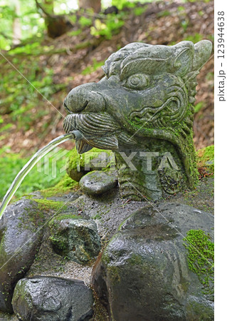 新潟津南町 竜ヶ窪の竜の水場 123944638