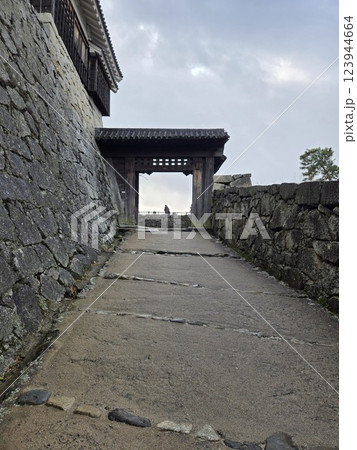 復元された城 123944664