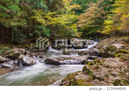 【静岡県】滑沢渓谷　紅葉 123944690