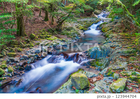 【静岡県】滑沢渓谷 紅葉 【静岡県】滑沢渓谷 紅葉 123944704