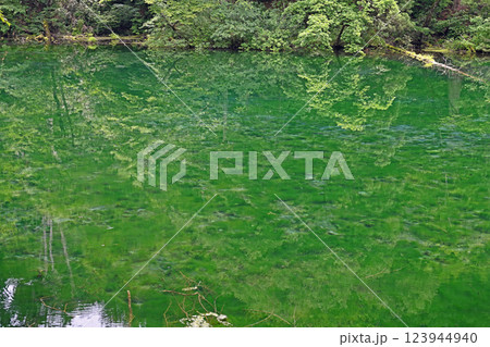 新潟津南町 竜ヶ窪の水面に映る木々 新潟津南町 竜ヶ窪の水面に映る木々 123944940