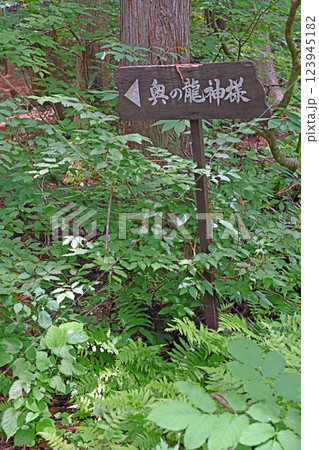 新潟津南町 龍田宮へ続く道 123945182