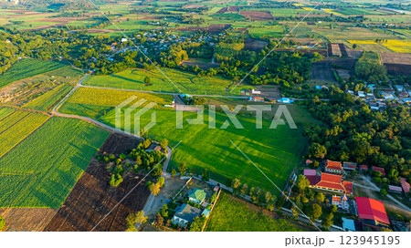 Aerial view of A field of yellow sunflowers as far as the eye can see 123945195