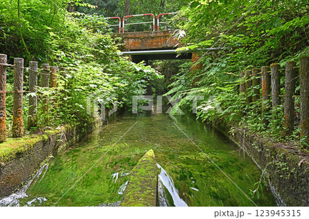 新潟津南町 竜ヶ窪の水路 123945315