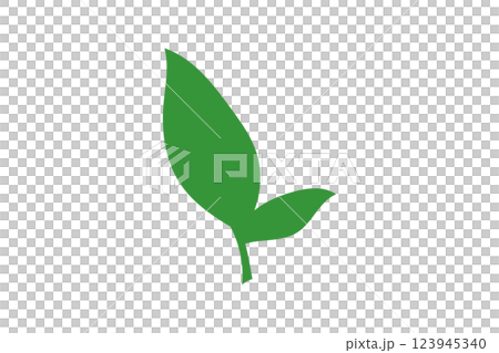 日本茶の茶葉のイラスト 123945340