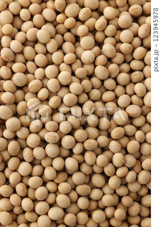 大豆 123945978