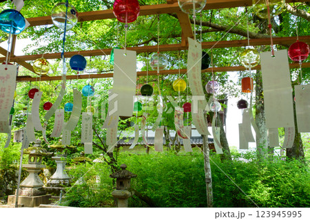 松尾大社の風鈴 123945995