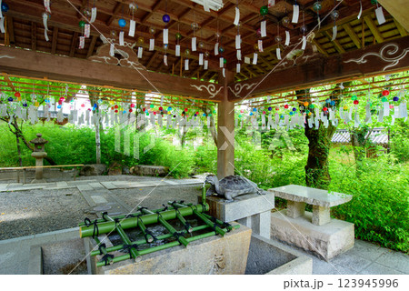 風鈴のある手水舎 123945996