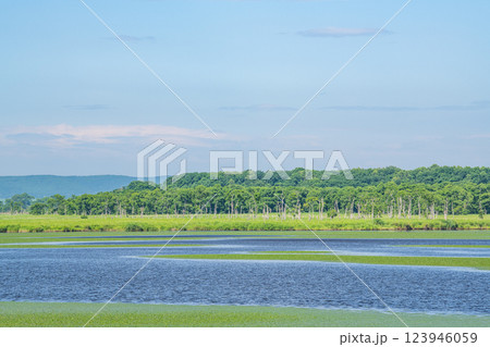 北海道某所　美しい湖（沼）と青い空（自然イメージ） 123946059