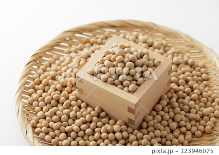 枡に盛った大豆 枡に盛った大豆 123946075