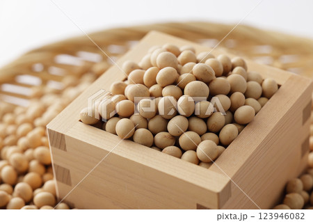 枡に盛った大豆 123946082