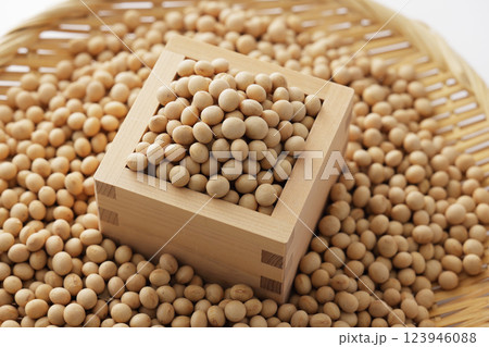 枡に盛った大豆 123946088