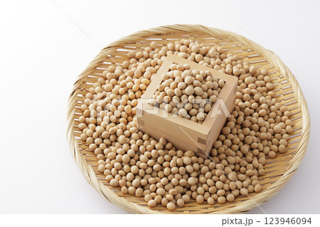 枡に盛った大豆 123946094