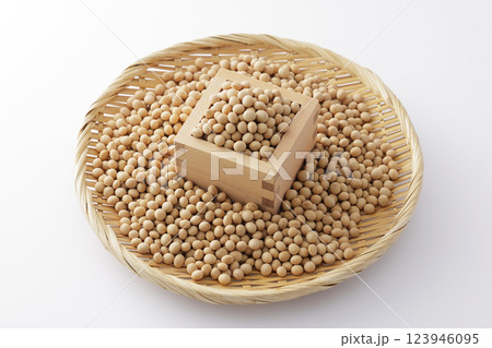 枡に盛った大豆 123946095