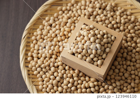 枡に盛った大豆 123946110