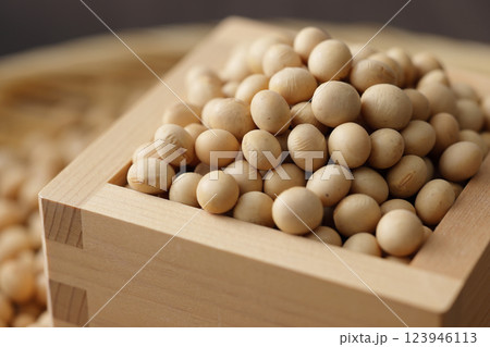 枡に盛った大豆 枡に盛った大豆 123946113