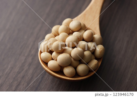 大豆 大豆 123946170