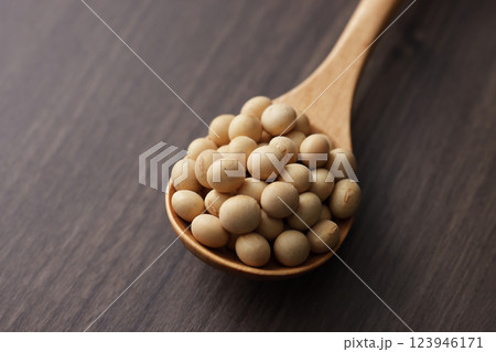 大豆 123946171
