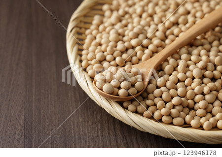 大豆 大豆 123946178