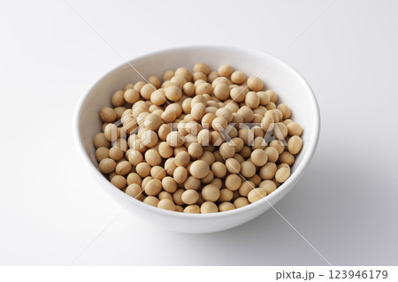 大豆 大豆 123946179