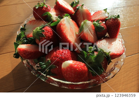 いちご ▼・▼・・▼・strawberry・▼・・▼・▼ いちご ▼・▼・・▼・strawberry・▼・・▼・▼ 123946359