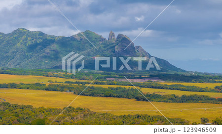 Lush green landscape of Kauai with the Sleeping Giant ridge in the background, golden fields in the foreground, and a partly cloudy sky above. 123946509
