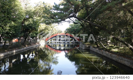 木製のアーチ橋 木製のアーチ橋 123946640