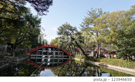 木製のアーチ橋 木製のアーチ橋 123946650