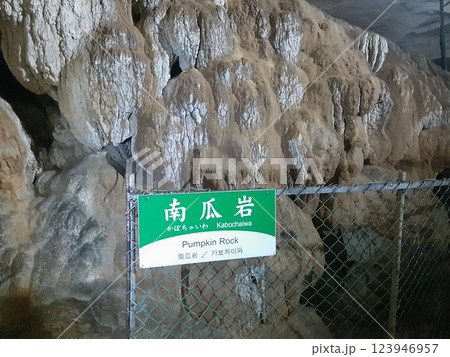 ≪山口県≫ 南瓜岩 岩 秋芳洞 ≪山口県≫ 南瓜岩 岩 秋芳洞 123946957