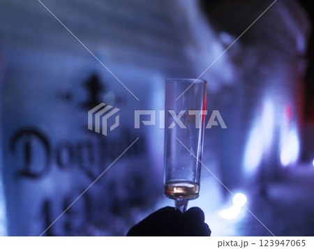 雪降る夜のニセコ 冬限定の氷で作られたバー ドン・フリオ1942 雪降る夜のニセコ 冬限定の氷で作られたバー ドン・フリオ1942 123947065