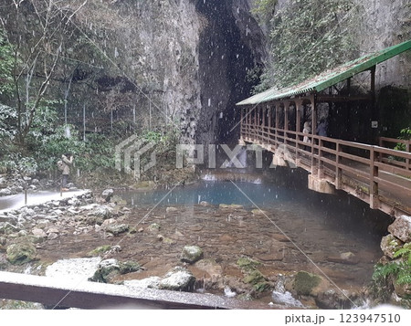 秋芳洞の入口付近 入口 洞窟入口 雪景色 秋芳洞の入口付近 入口 洞窟入口 雪景色 123947510