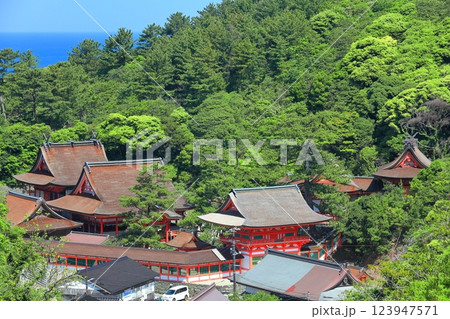【島根県】晴天の日御碕神社の全景 【島根県】晴天の日御碕神社の全景 123947571
