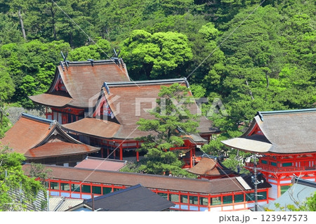 【島根県】晴天の日御碕神社の全景 【島根県】晴天の日御碕神社の全景 123947573