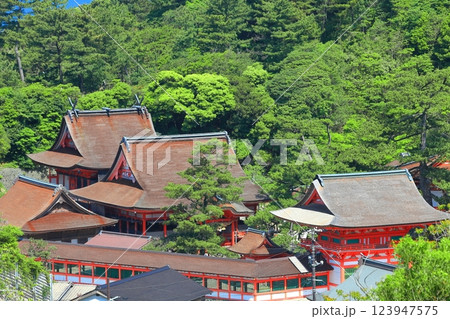 【島根県】晴天の日御碕神社の全景 【島根県】晴天の日御碕神社の全景 123947575