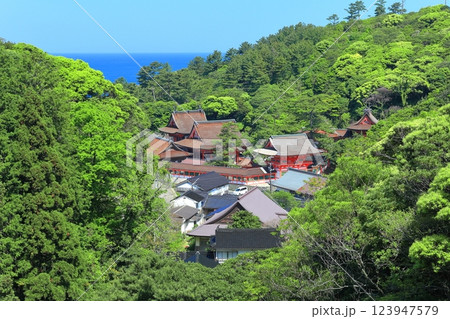 【島根県】晴天の日御碕神社の全景 【島根県】晴天の日御碕神社の全景 123947579