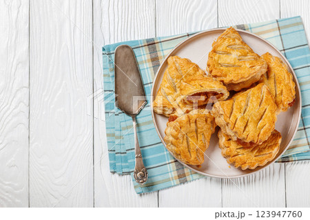 puff pastry apple turnovers on a plate puff pastry apple turnovers on a plate 123947760