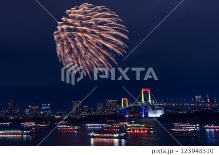 お台場レインボー花火 お台場レインボー花火 123948310