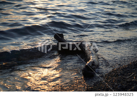 A driftwood on the shore. The sea at dusk. Water rushing onto the shore of a pebble beach in the afternoon sun. There is a place to copy. High quality photo 123948325