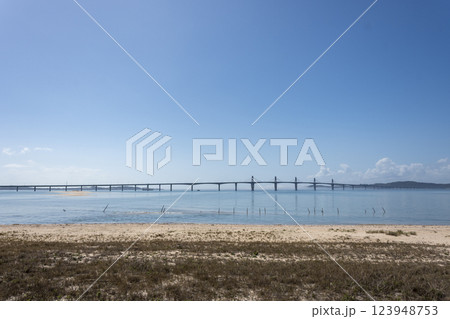 台湾 金門島の海と金門大橋 123948753