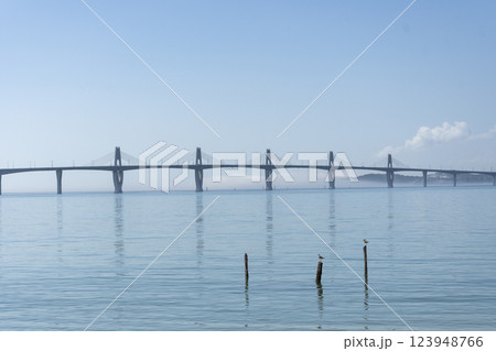 台湾 金門島の海と金門大橋 123948766