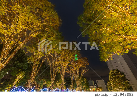 クリスマスイルミネーションの新宿南口 クリスマスイルミネーションの新宿南口 123948882