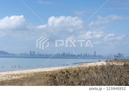 台湾金門島からの中国厦門の風景 123948932