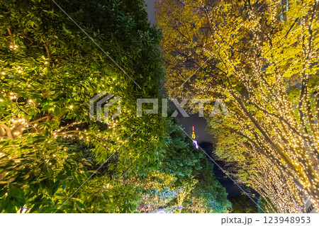クリスマスイルミネーションの新宿南口　東京夜景 123948953