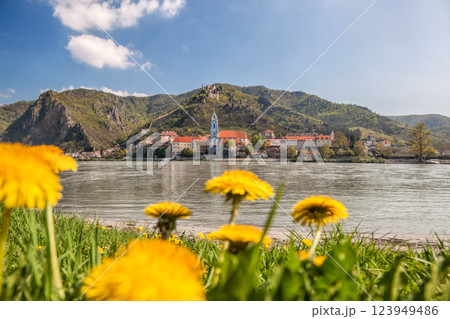 Durnstein village with Danube river and dandelions during spring time in Wachau, Austria Durnstein village with Danube river and dandelions during spring time in Wachau, Austria 123949486